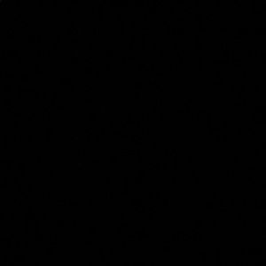 Meet your Posher, Sasha